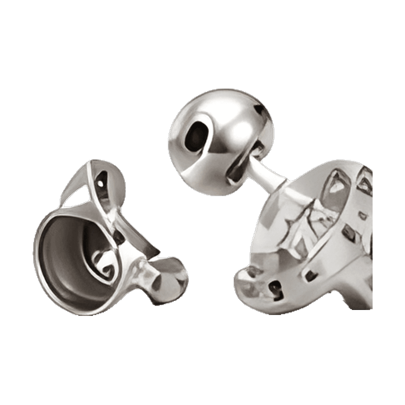 Bone Cement / Augment
