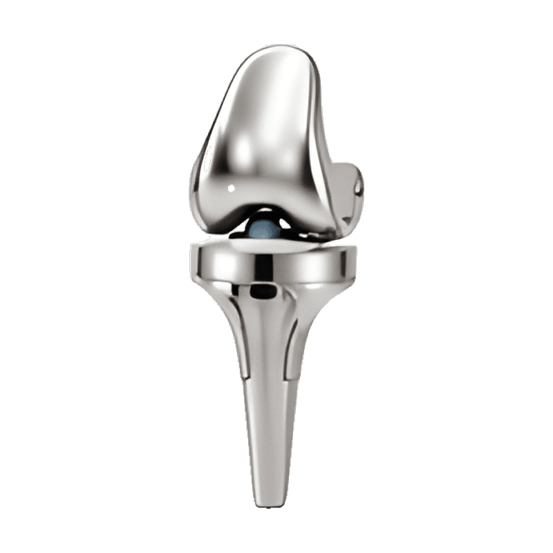 Knee Replacement System